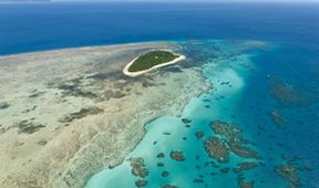 David Attenborough: Velký bariérový útes (3)